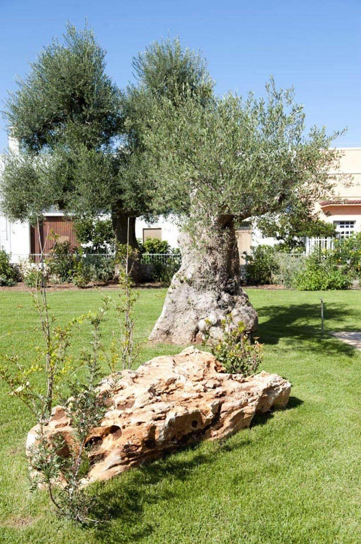 Donna Lucrezia Guest House Pezze Di Greco Exterior foto